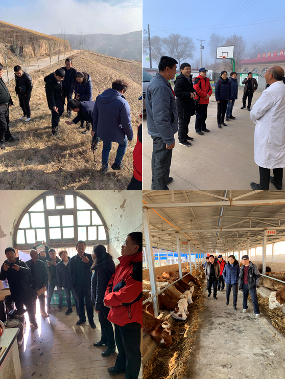 1755755422995729.png 04.png